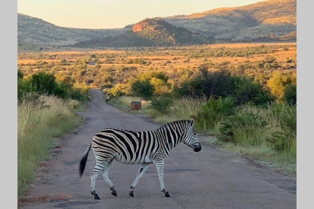 Rhino House With 3 Bedrooms Next To Pilanesberg And Sun City Mogwase Bagian luar foto
